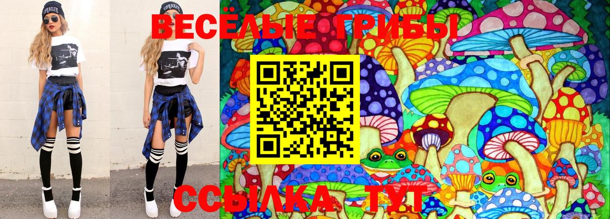 Юрга  Псилоцибиновые грибы Psilocybe  Вход с VPN 